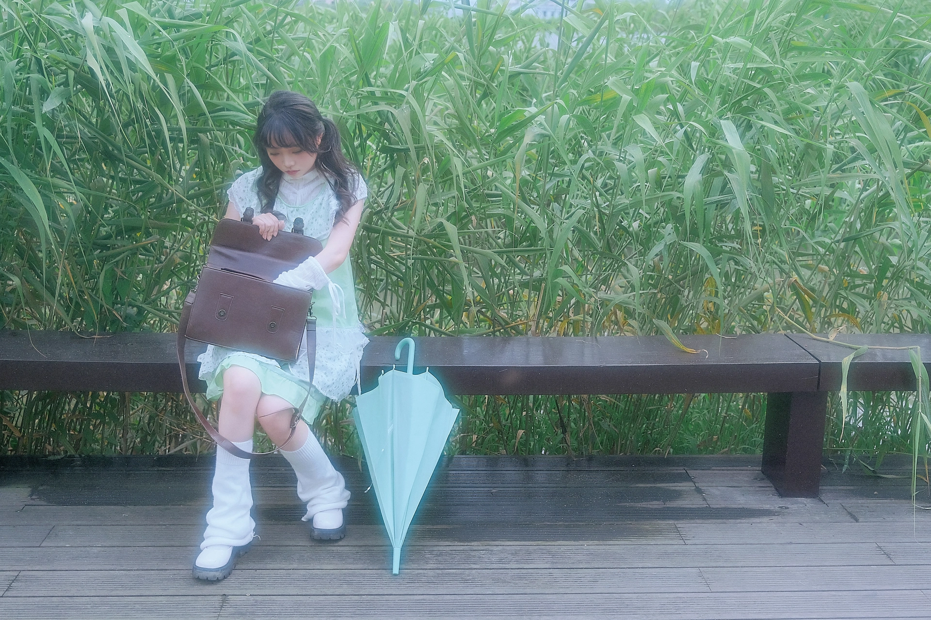 2025.02.10 薄荷 2