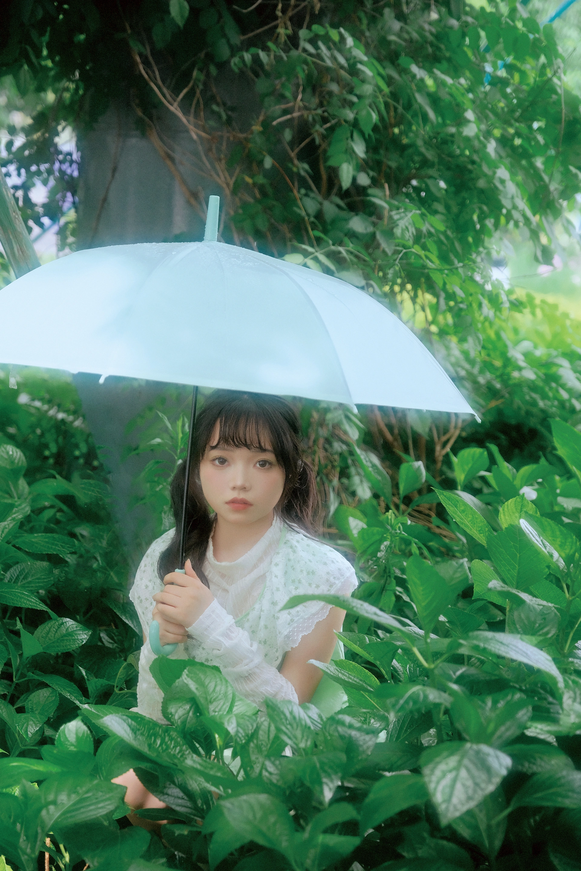 2025.02.10 薄荷 3
